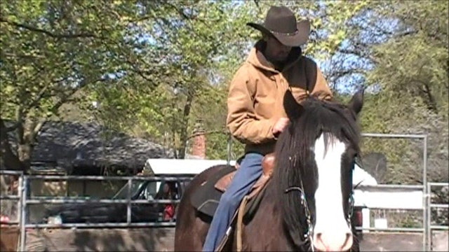 Shoulder Control under saddle (Part 2 Saddle Exercises)*