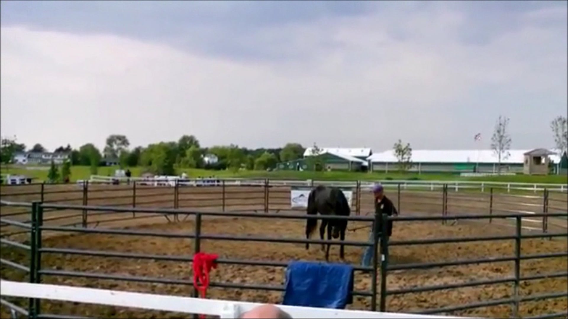 Stall Vices and Stress Management Part 1 (Ground Exercises)*