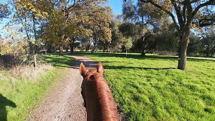 Mike Hughes Horsemanship Members Page Video