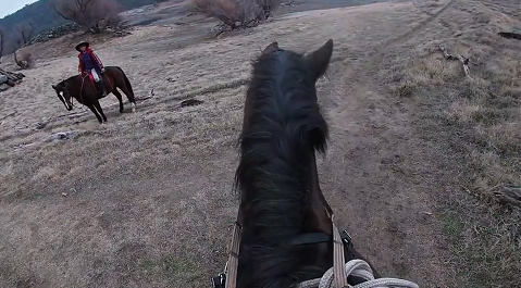 Help Your Horses Separation Anxiety, Preview, Click Here to Learn More