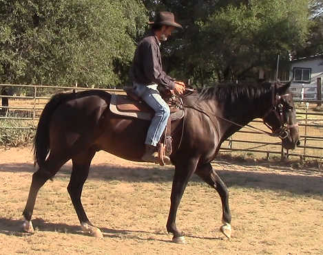 Restarting The Horse With A Hard, Gut-Wrenching, And Unknown Past *