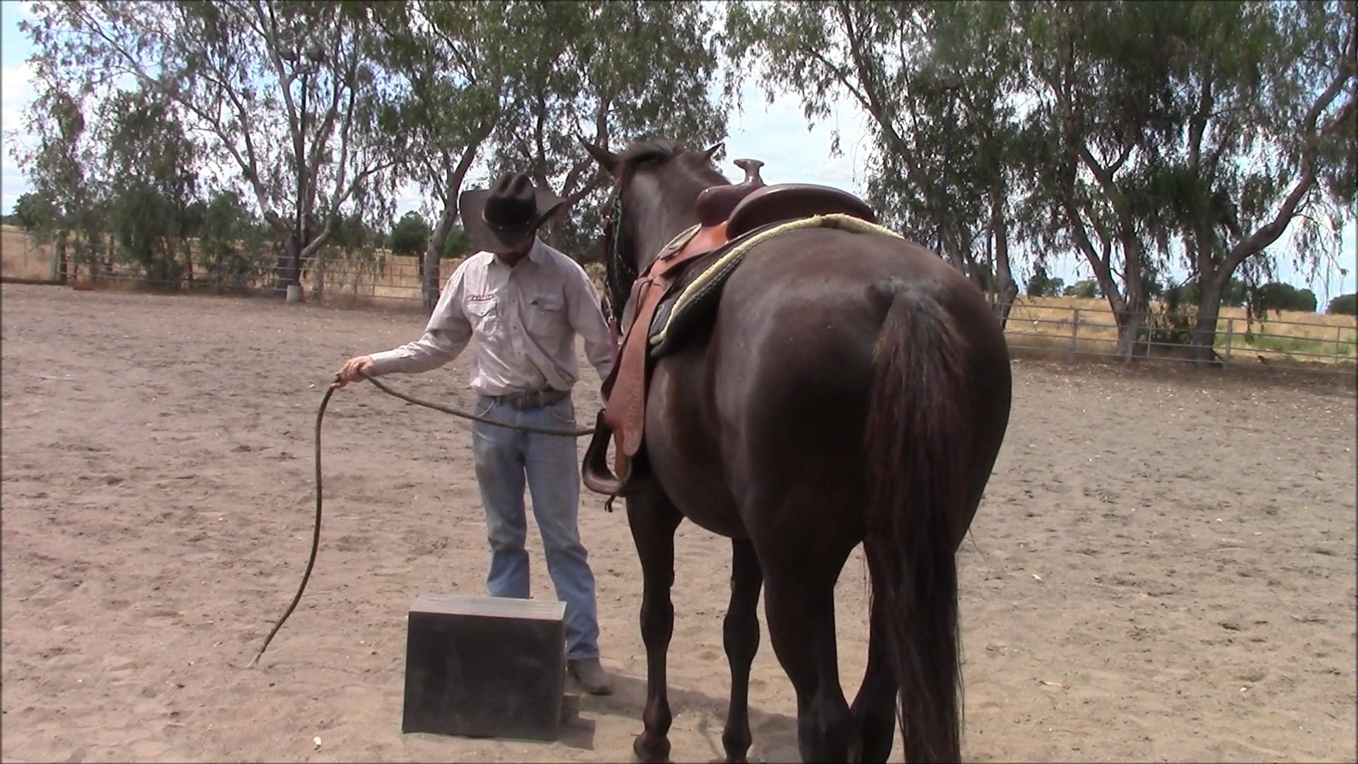 The Best Way to Mount your horse from a mounting block (Tip)*