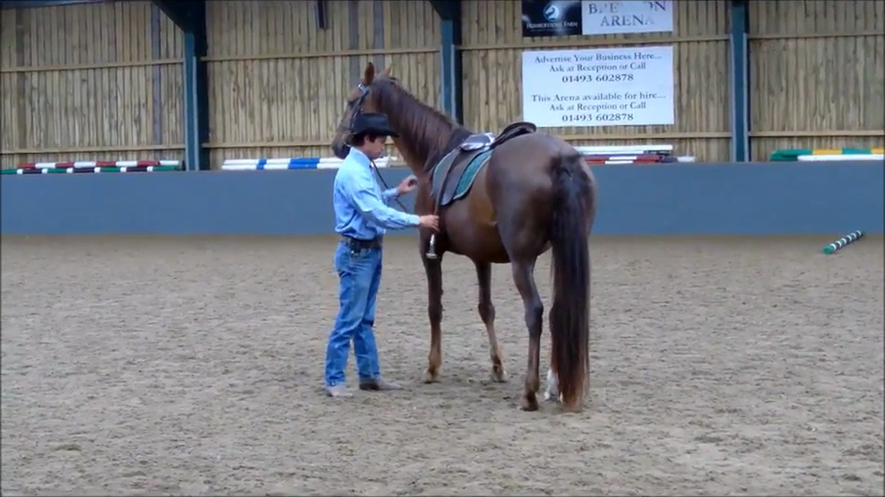 Mounting at the mounting block, Demo, Norfolk United Kingdom (Special Event)*