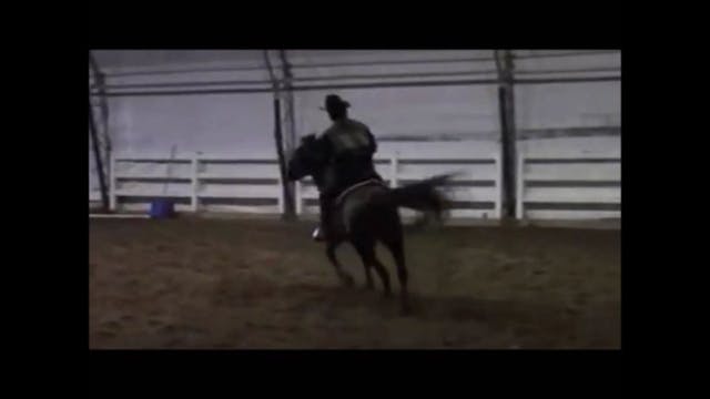 The Buck Stops Here (Part 3, Saddles ...