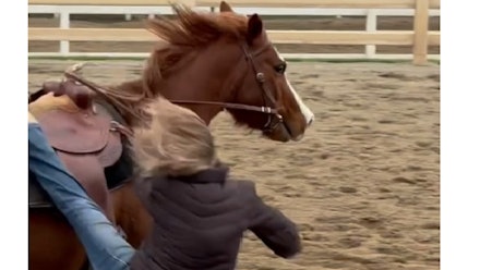 Mike Hughes Horsemanship Members Page Video