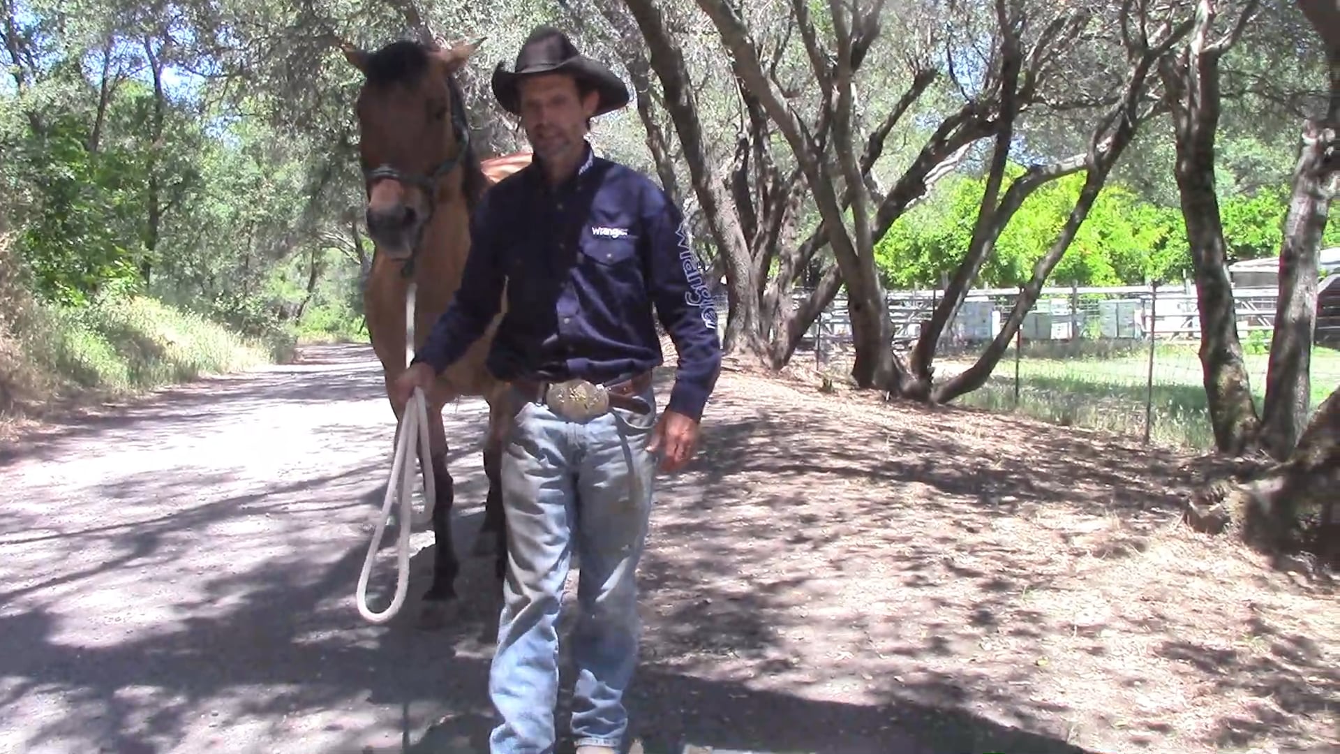 Beat The Barn Sour Blues Done, (Part 1, Ground Exercise)*