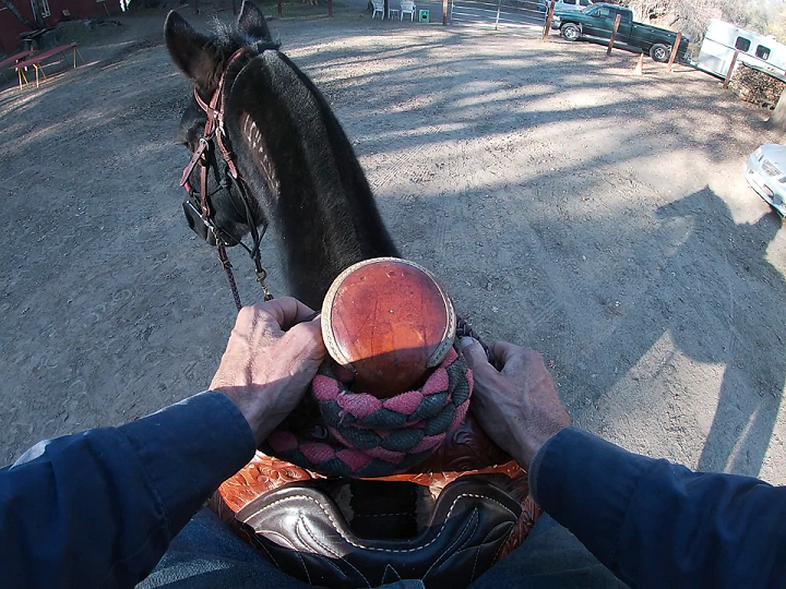 Your Hands On The Reins Part 1, Flexing and Disengaging Your Horses Hips*