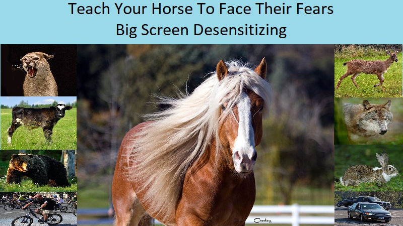 Big Screen Desensitizing (Introduction)