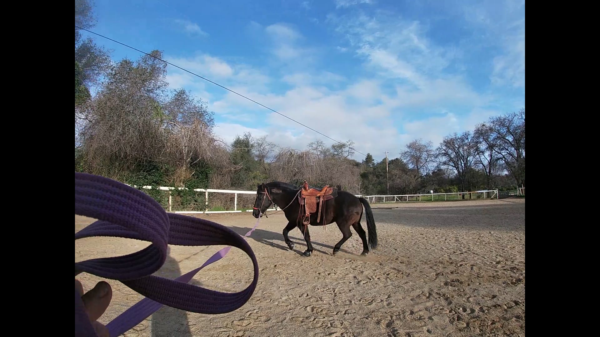 Always Practice Horsemanship Before You Ride
