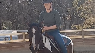 Reasons and Solutions for High Headed Horses 