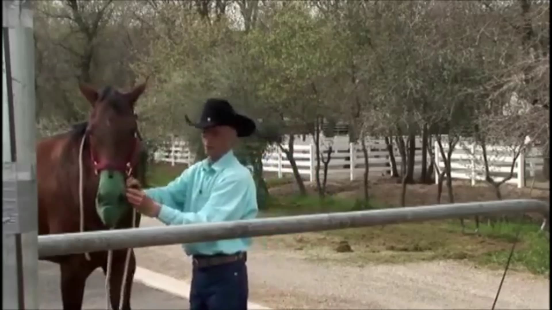 Crib-Free, Solving Horse Cribbing, (Part 3, Ground and Saddle Exercises)*