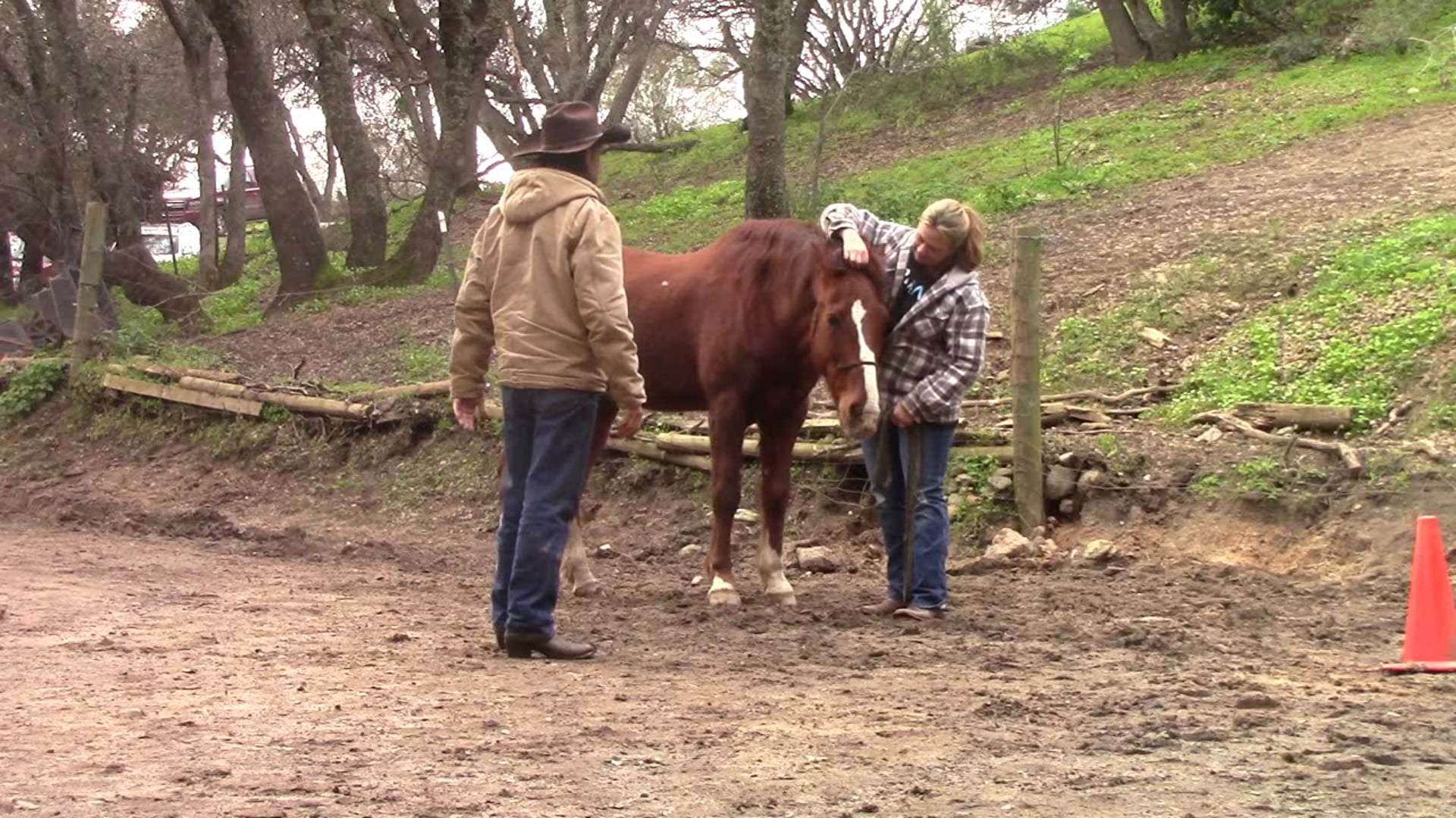 Trail Safety (Part 1, Ground Exercise)*