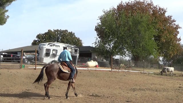 Teaching The Unbroke Horse Shoulder, ...