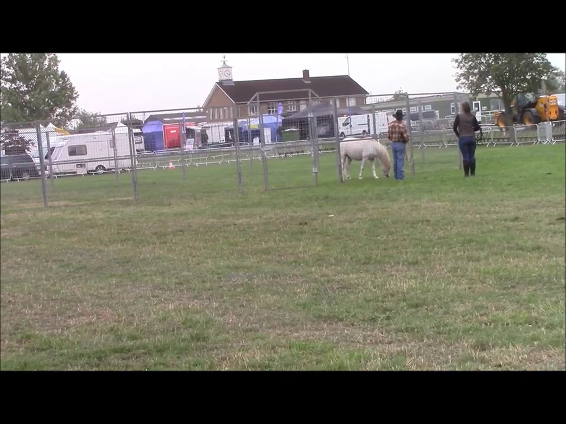Aggressive horse behavior, Mike Hughes, Demo, Essex England (Ground Exercises)*