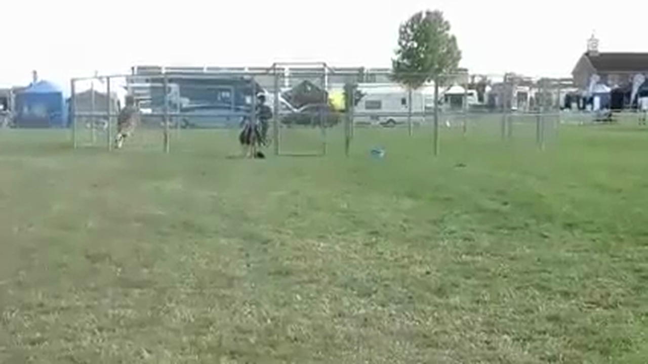 The outside turns, Demo at Equifest, Essex England (Special Event)*