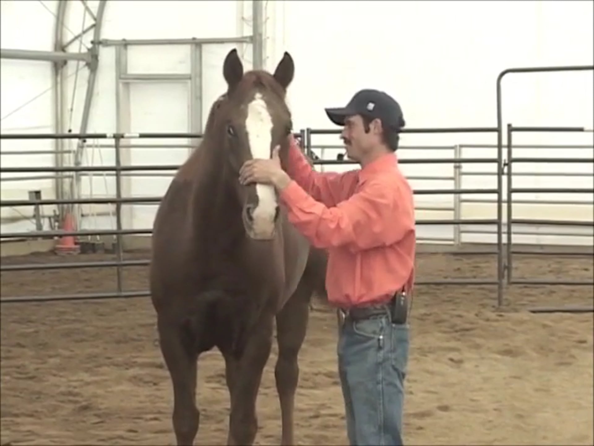 Back To The Basics Part 3 (Ground and Saddle Exercises)*