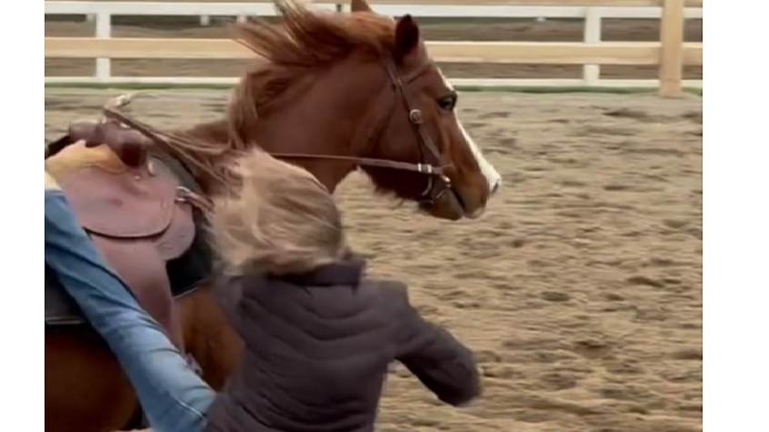 How to Stop Bolting and Running Away - Part 1 -