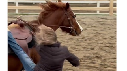 Mike Hughes Horsemanship Members Page Video