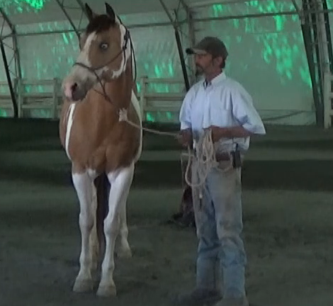 Restarting The Horse After Recovering From Injury - Muscle Memory -