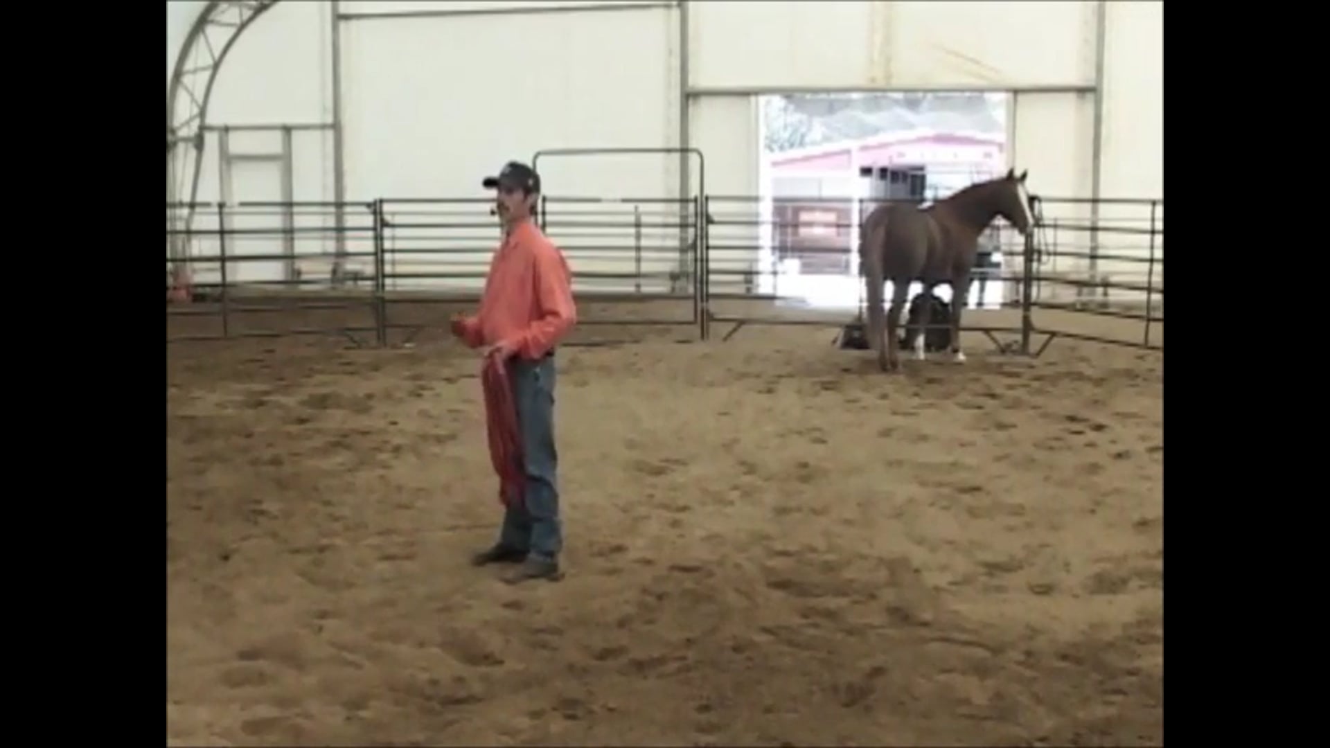 Crib-Free Part 4 (Ground and Saddle Exercises)*