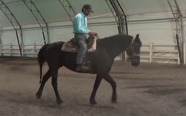 High Headed Horses and Solutions 