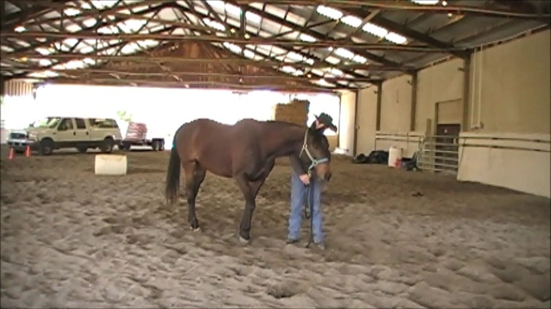 4 Ways to teach your horse to drop there Head (Ground Exercises)*