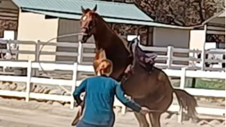 Correcting Lunging Issues Lesson With Mike Hughes and Sarah Firpo