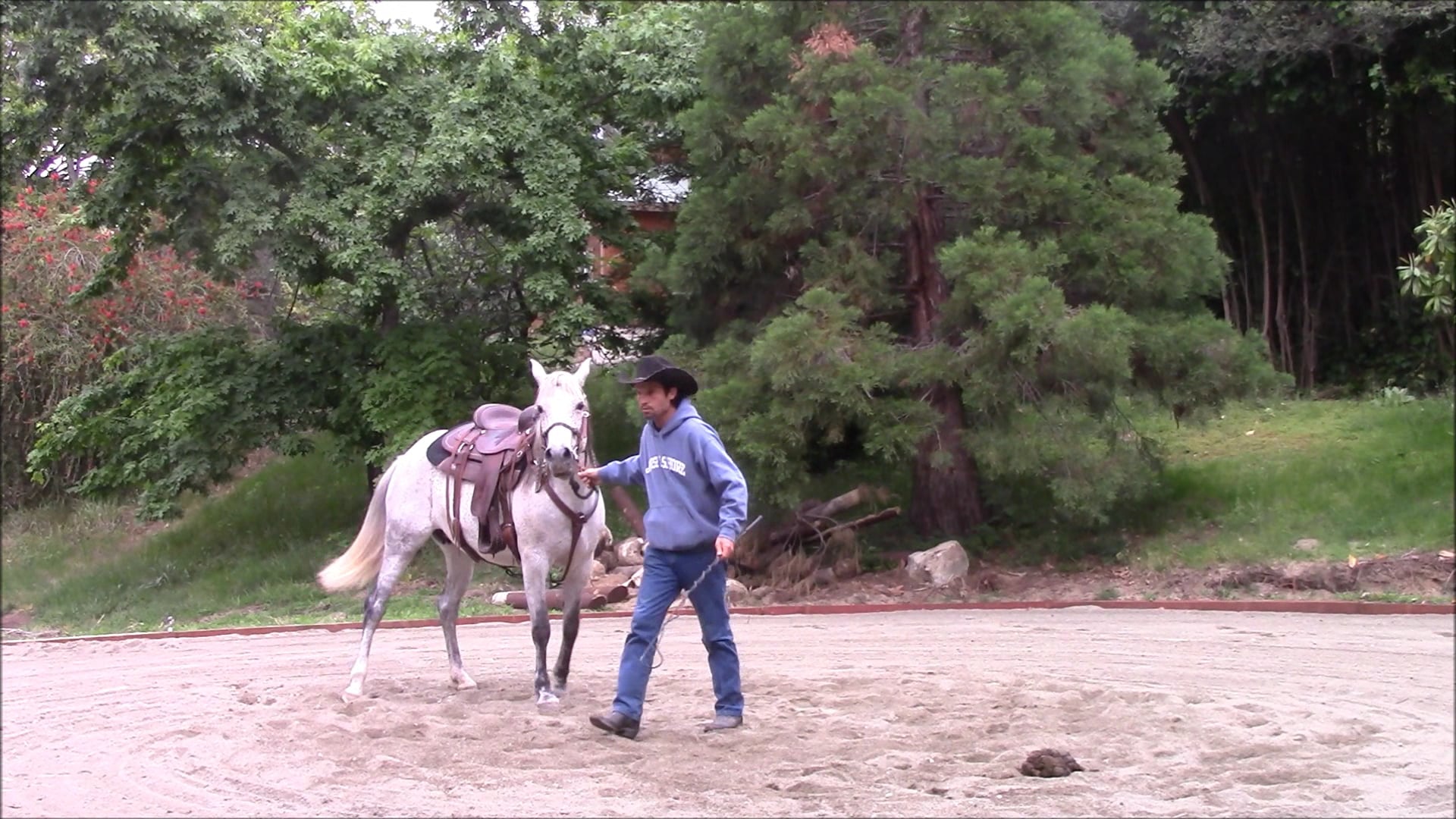 Shoulder Control (Part 1, Ground Exercise)*