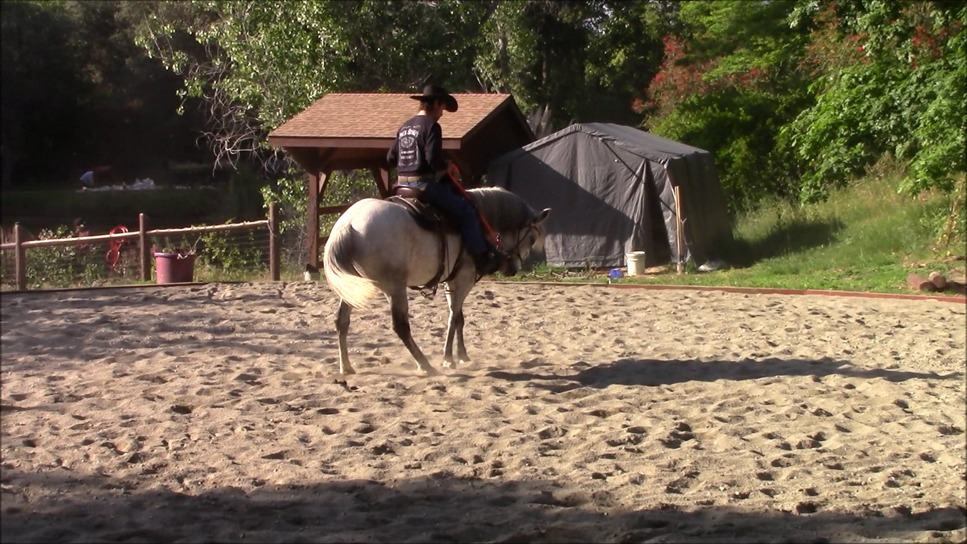 4 exercises to improve your horses respect (Ground and Saddle Exercises)*