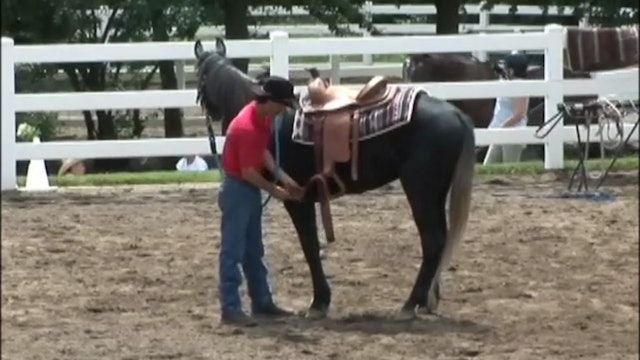 Starting the Unbroke Horse (Part 3, Ground, Mounting and Dismounting Exercises)*