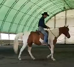 Going From Anxiety To Relaxed 6/13/20, Santa Rosa (Saddle Exercise)*