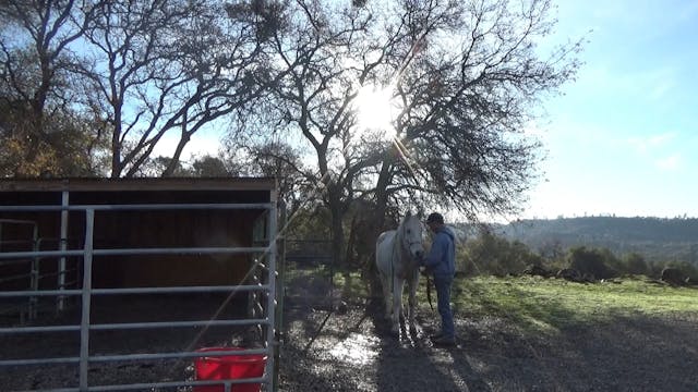 How To Stop A Horse From Bolting When...