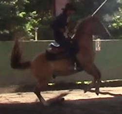 Bolting, Out of No Where, Out of Control (Part 1)