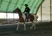 Turn Your Horses Anxiety into Relaxation (Saddle Exercise)*