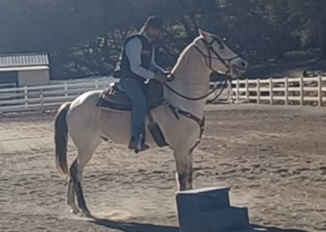 Freezing Up and Flipping Over Backwards, Click Here to Learn More