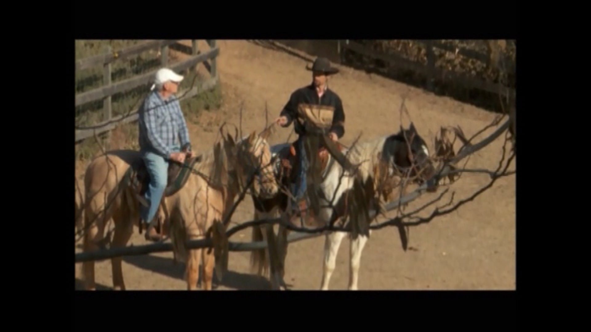 Barn and Buddy Sour Horses (Part 1, Saddle exercise)*