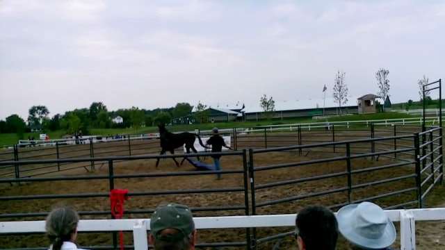 Canada's Outdoor Equine Expo with Mike Hughes, Canada (Ground Exercises)*