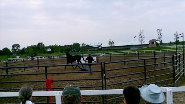 Canada's Outdoor Equine Expo with Mik...