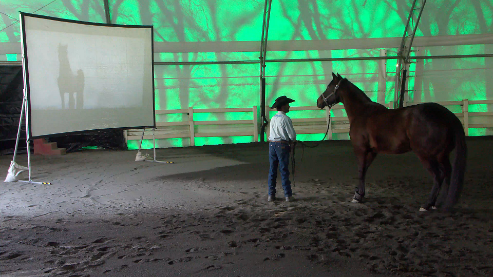 Big Screen Desensitizing, Episode 3 (The Pressure is On)