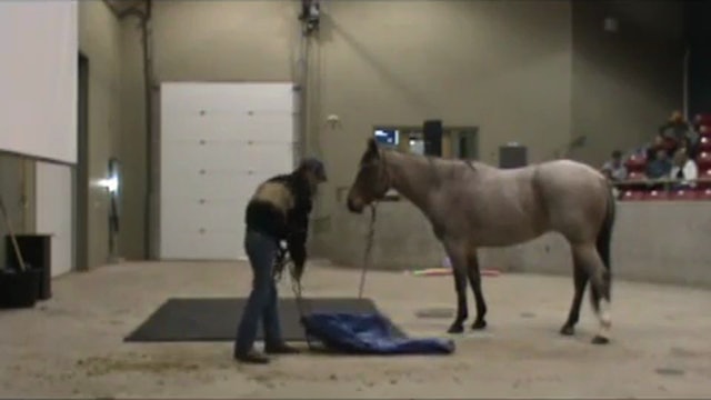 Can-Am All Breed Show with Mike Hughes, Canada 2012 (Special Event)*