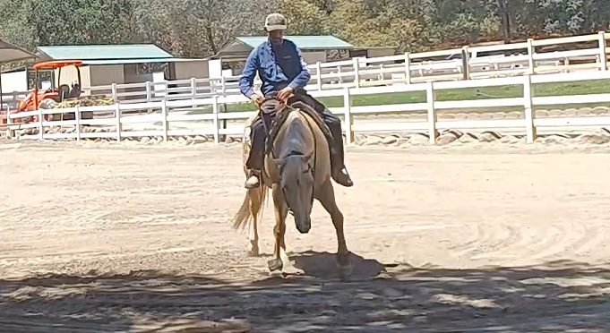 Horses Afraid of Shadows (Problem Solving)