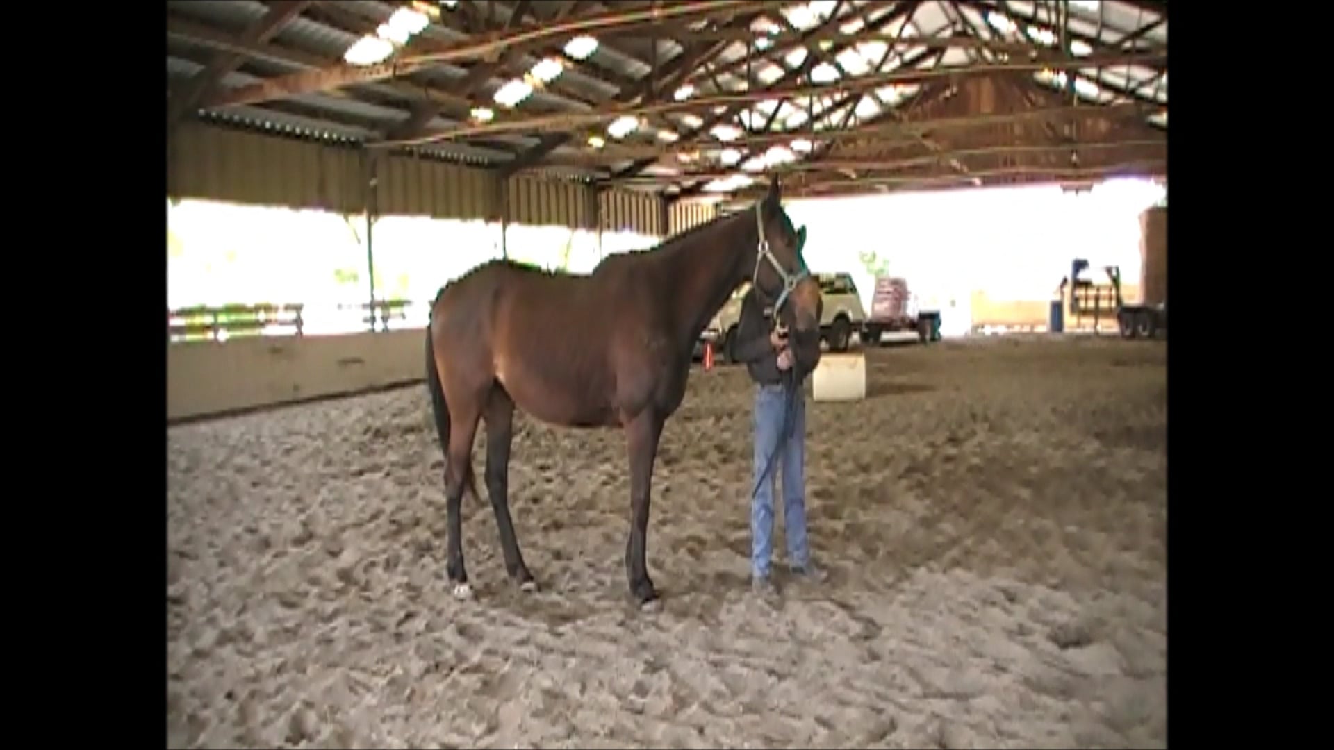 Solve horses that pull back while tied (Part 1 Ground Exercises)*