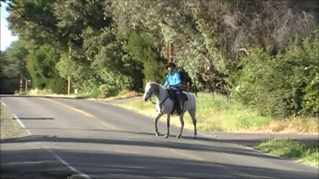 Introducing Your Horse to Traffic (Saddle Exercise)