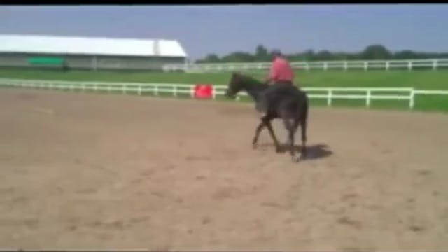 Teaching horses the forward cue - Can...