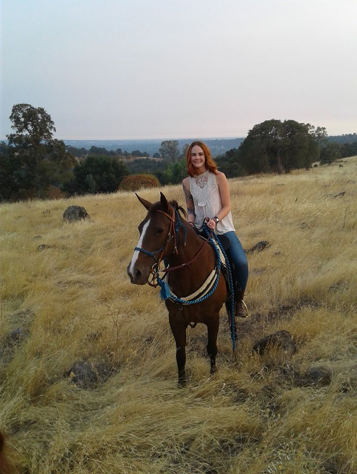 The Perfect Start For The Unbroke Horse - From The Ground To Under Saddle-