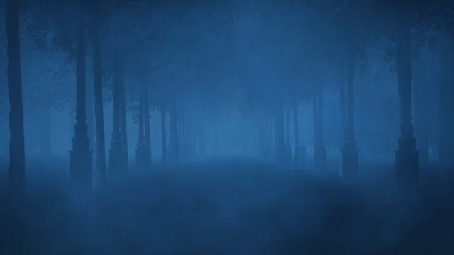 Video 6, Episode 2, Forest, No Sound,...