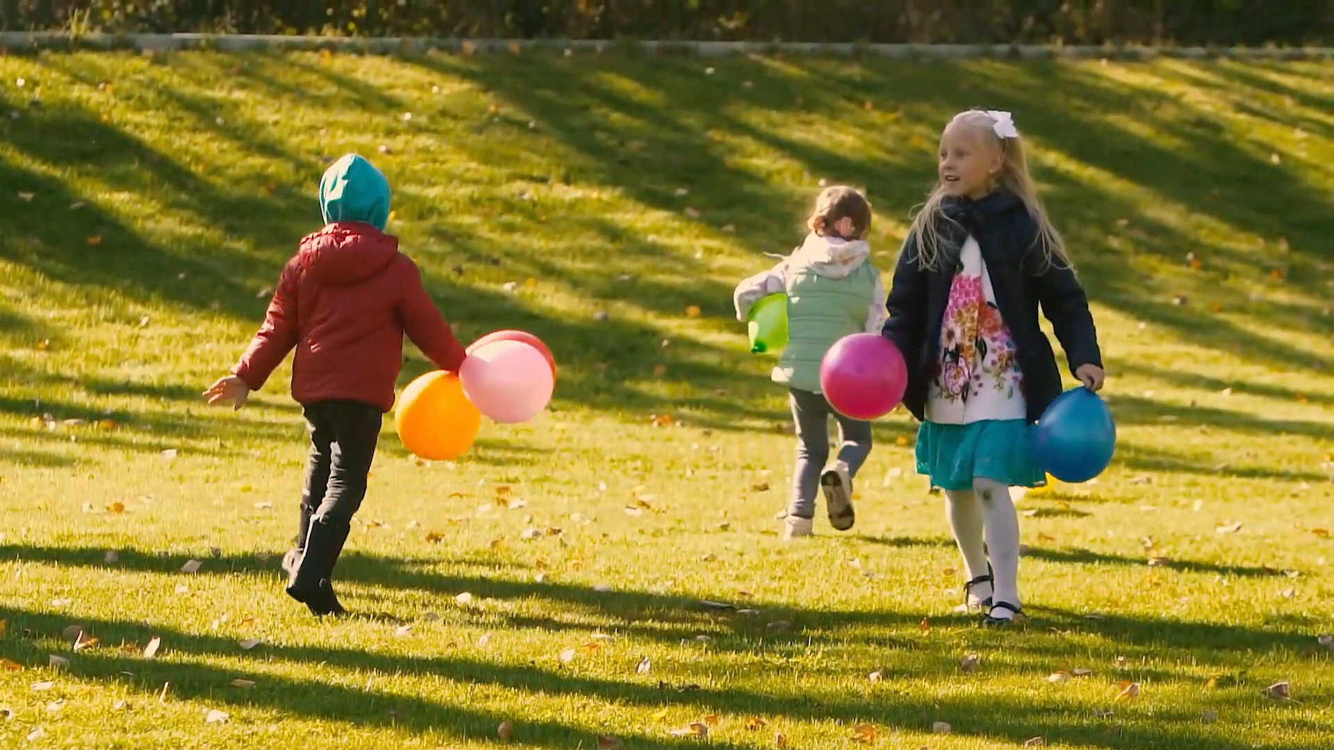 Video 5,Episode 2,Miscellaneous, No Sound, For Horses Vision (Phone to Projector