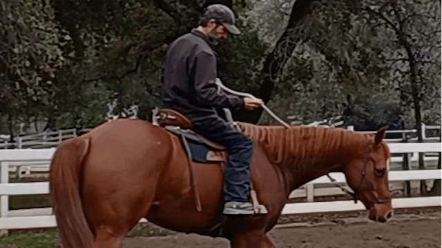 Teaching Your Horse How to Neck Rein With Simple Horsemanship