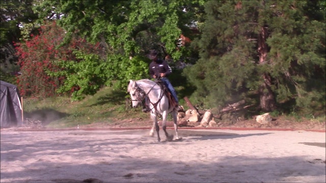 Teaching your horse how to stop and back on a loose rein (Saddle Exercise)*