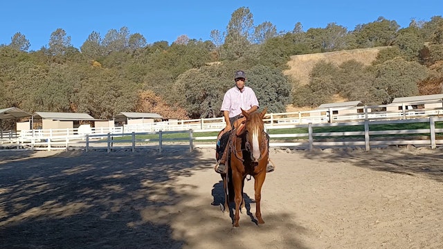 Connecting With Your Horse Under Saddle Episode 3